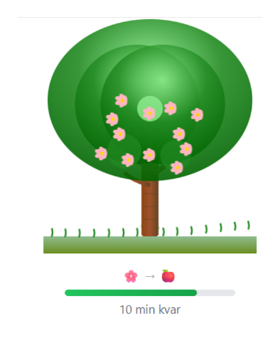 Lästrädet i ReadoQuest School, med blommor och 10 minuter kvar till nästa äpple